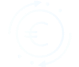 Euro Transaction Icon